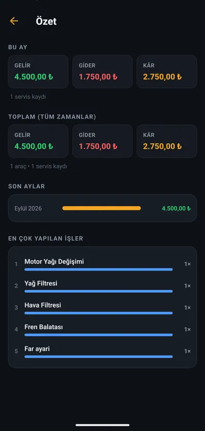 Aylık gelir ve yapılan işlerin özet ekranı